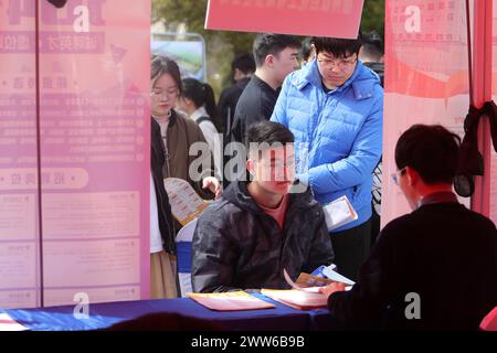 Hochschulabsolventen suchen am 21. März 2024 auf einer Jobmesse in Huaibei City, ostchinesischer Provinz Anhui. Stockfoto