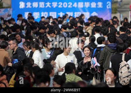 Hochschulabsolventen suchen am 21. März 2024 auf einer Jobmesse in Huaibei City, ostchinesischer Provinz Anhui. Stockfoto