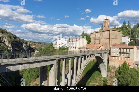 Eine Brücke überspannt einen Fluss mit einer Stadt im Hintergrund. Die Brücke besteht aus Beton und ist von Bäumen umgeben Stockfoto