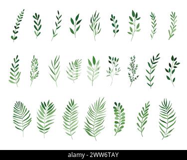 Sammlungsgarten und wildes Laub, Blumen, Zweige. Stock Vektor