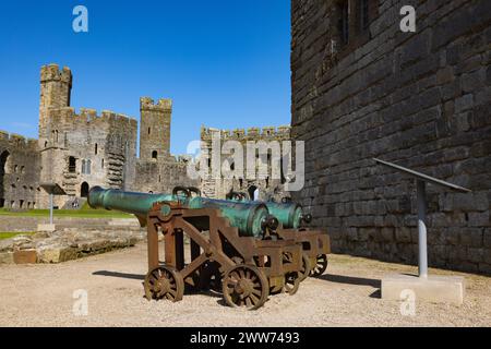 Zwei alte Kanonen im Hof von Caernarfon Castle Stockfoto