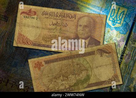 Eine Nahaufnahme der tunesischen Dinar-Banknote. Stockfoto