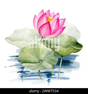 Aquarellfarbe rosa Lotusblume und Blätter, handgezeichnete Illustration des Spa- und Yoga-Themas, Skizze der lila und magenta Seerose mit Knospen im Wasser, AS Stockfoto