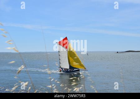 Sonnenlicht-Segelboot mit weißen, gelben und roten Segeln Stockfoto