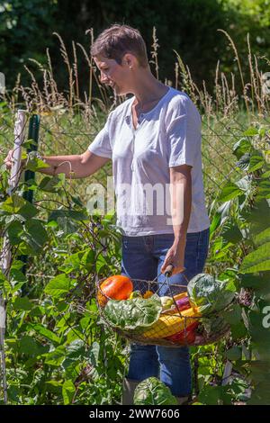 Eine junge Frau im Profil, die Gemüse pflückt, eine Koffer in der Hand. Stockfoto