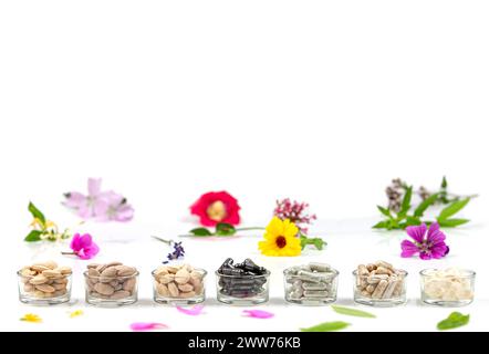 Nahrungsergänzungsmittel auf Basis von Wirkstoffen aus Heilpflanzen. Stockfoto