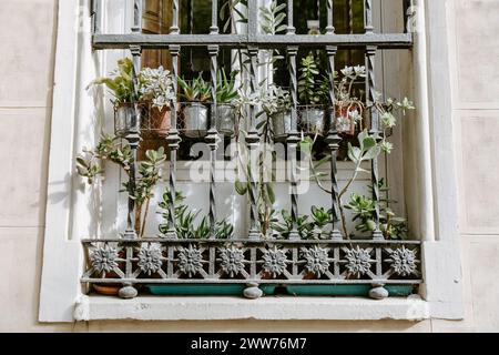 Fenster Mit Topfpflanzen Stockfoto