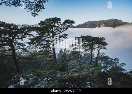 Wanderung auf den Großen Sonnstein im Gemeindegebiet von Ebensee am Traunsee am Westufer des Traunsees mit Blick auf Wolkendecke über dem Traunsee, das Tote Gebirge und Höllengebirge am 09.10.2021. // Wanderung zum Großen Sonnstein in der Gemeinde Ebensee am Traunsee am Westufer des Traunsees mit Blick auf die Wolkendecke über dem Traunsee, dem Toten Gebirge und dem Höllengebirge am 9. Oktober 2021. - 20211009 PD19107 Stockfoto