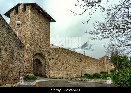 Die Eingangstore öffnen sich entlang der mittelalterlichen Stadtmauern. Porta Leone besteht aus einem Turm, in dem sich ein Doppelbogenportal öffnet. L'Aquila, Italien Stockfoto