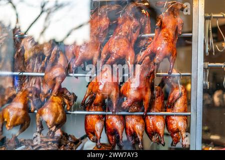 Gebratene Enten hängen in einem chinesischen Restaurant-Fenster in Bellevue, Paris. Stockfoto