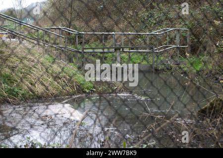 Chesham, Großbritannien. März 2024. Das Wasser der Themse leitet seit über 500 Stunden Abwasser in den Precious River Chess Kreidefluss in Chesham, Buckinghamshire, ab. Verunreinigtes Wasser fließt aus dem Abwasserwerk über einen Zaun und auf eine nahegelegene Straße. Ein nahegelegenes Farmerfeld, das als Weide genutzt wird, ist ebenfalls mit Überlauf aus den Chesham Abwasserbehandlungswerken überflutet. Die Kläranlage wird derzeit modernisiert, aber inzwischen wird Abwasser aus der Kläranlage in den Fluss Chess gepumpt. Paul Jennings, der Vorsitzende der River Chess Association, hat diese Woche gesagt, dass dies die Bedingungen erfüllt Stockfoto