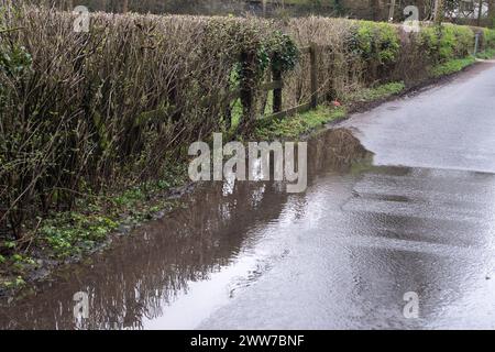 Chesham, Großbritannien. März 2024. Das Wasser der Themse leitet seit über 500 Stunden Abwasser in den Precious River Chess Kreidefluss in Chesham, Buckinghamshire, ab. Verunreinigtes Wasser fließt aus dem Abwasserwerk über einen Zaun und auf eine nahegelegene Straße. Ein nahegelegenes Farmerfeld, das als Weide genutzt wird, ist ebenfalls mit Überlauf aus den Chesham Abwasserbehandlungswerken überflutet. Die Kläranlage wird derzeit modernisiert, aber inzwischen wird Abwasser aus der Kläranlage in den Fluss Chess gepumpt. Paul Jennings, der Vorsitzende der River Chess Association, hat diese Woche gesagt, dass dies die Bedingungen erfüllt Stockfoto