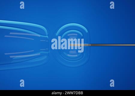 Injektion einer Stammzelle in einen transparenten Embryo durch eine silberne, scharfe Nadel auf blauem Hintergrund. Gezielte Mikroinjektion von embryonalen Stammzellen (es) Stockfoto