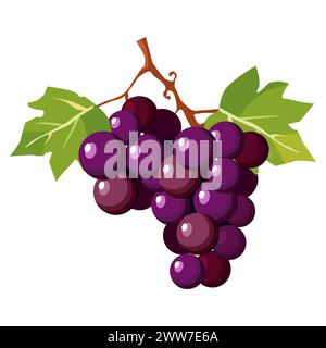Saftige und gesunde Gruppe dunkel lila Trauben mit grünen Blättern isoliert auf weißem Hintergrund. Vektor-Beeren-Illustration in flacher Form. Sommerklipar Stock Vektor