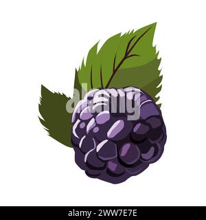 Saftige und gesunde blaue brombeere mit grünem Blatt isoliert auf weißem Hintergrund. Vektor-Beeren-Illustration in flacher Form. Sommer-Clipart für Design o Stock Vektor