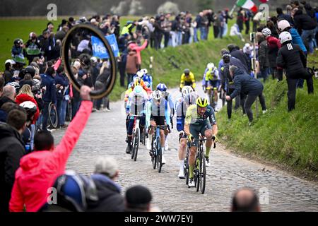 Harelbeke, Belgien. März 2024. Die Gruppe von Fahrern, die während des eintägigen Radrennens „E3 Saxo Bank Classic“, 207 km von und nach Harelbeke, am Freitag, den 22. März 2024, in Aktion genommen wurden. BELGA FOTO JASPER JACOBS Credit: Belga News Agency/Alamy Live News Stockfoto