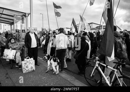 ProPalestine Demonstration im East End von Glasgow Stockfoto