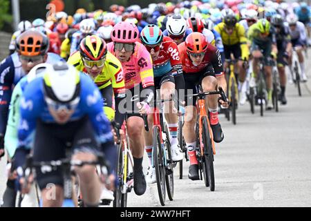 Harelbeke, Belgien. März 2024. Die Gruppe von Fahrern, die während des eintägigen Radrennens „E3 Saxo Bank Classic“, 207 km von und nach Harelbeke, am Freitag, den 22. März 2024, in Aktion genommen wurden. BELGA FOTO JASPER JACOBS Credit: Belga News Agency/Alamy Live News Stockfoto