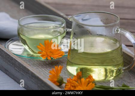 Ringelblumen-Tee, Tee aus den Blüten von Ringelblume, Ringelblumen-Blütentee, Blütentee, Blüte, Blüten, Kräutertee, Heiltee, T-Stück, Ringelblume, Garten- Stockfoto