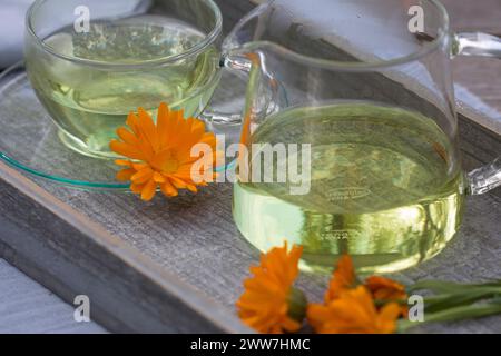 Ringelblumen-Tee, Tee aus den Blüten von Ringelblume, Ringelblumen-Blütentee, Blütentee, Blüte, Blüten, Kräutertee, Heiltee, T-Stück, Ringelblume, Garten- Stockfoto