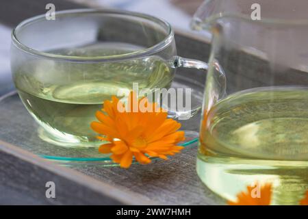 Ringelblumen-Tee, Tee aus den Blüten von Ringelblume, Ringelblumen-Blütentee, Blütentee, Blüte, Blüten, Kräutertee, Heiltee, T-Stück, Ringelblume, Garten- Stockfoto