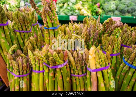 New York City, NY, USA, Nahaufnahme, frisches Gemüse, Spargelsträucher, ausgestellt auf dem Chelsea Farmers Market, Gemüsehändler im Inneren Stockfoto