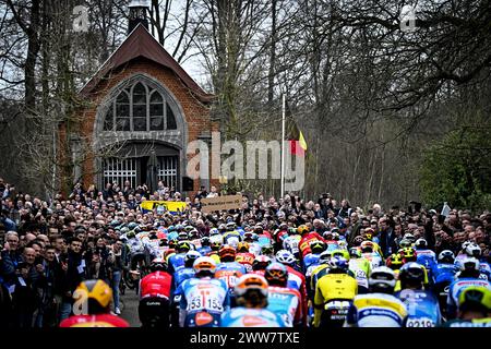 Harelbeke, Belgien. März 2024. Die Gruppe von Fahrern, die während des eintägigen Radrennens „E3 Saxo Bank Classic“, 207 km von und nach Harelbeke, am Freitag, den 22. März 2024, in Aktion genommen wurden. BELGA FOTO JASPER JACOBS Credit: Belga News Agency/Alamy Live News Stockfoto