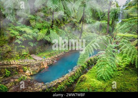 Entdecken Sie die ruhigen Caldeira Velha heißen Quellen, eingebettet in Sao Miguel üppige Farnhügel, die einen ruhigen Rückzugsort auf den Azoren bieten. Stockfoto