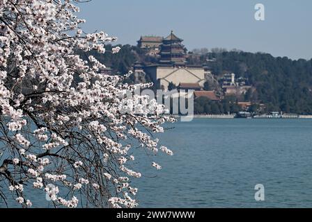 Peking, China. März 2024. Dieses Foto vom 22. März 2024 zeigt einen Blick auf den Sommerpalast in Peking, der Hauptstadt Chinas. In jüngster Zeit blühen im Sommerpalast in Peking Frühlingsblumen wie Pfirsichblüten in voller Blüte und ziehen viele Touristen an. Quelle: Chen Yehua/Xinhua/Alamy Live News Stockfoto