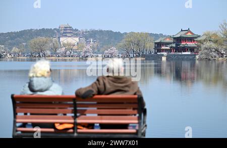 Peking, China. März 2024. Die Menschen ruhen sich auf einer Bank im Sommerpalast in Peking, der Hauptstadt Chinas, aus, 22. März 2024. In jüngster Zeit blühen im Sommerpalast in Peking Frühlingsblumen wie Pfirsichblüten in voller Blüte und ziehen viele Touristen an. Quelle: Chen Yehua/Xinhua/Alamy Live News Stockfoto