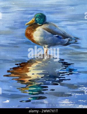 Eine Ente, die im Wasser steht, realistische Aquarellillustration Stockfoto