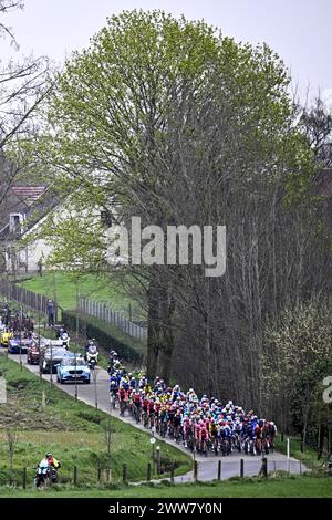 Harelbeke, Belgien. März 2024. Die Gruppe von Fahrern, die während des eintägigen Radrennens „E3 Saxo Bank Classic“, 207 km von und nach Harelbeke, am Freitag, den 22. März 2024, in Aktion genommen wurden. BELGA FOTO JASPER JACOBS Credit: Belga News Agency/Alamy Live News Stockfoto