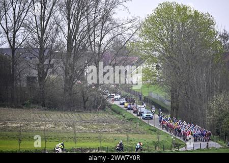 Harelbeke, Belgien. März 2024. Die Gruppe von Fahrern, die während des eintägigen Radrennens „E3 Saxo Bank Classic“, 207 km von und nach Harelbeke, am Freitag, den 22. März 2024, in Aktion genommen wurden. BELGA FOTO JASPER JACOBS Credit: Belga News Agency/Alamy Live News Stockfoto