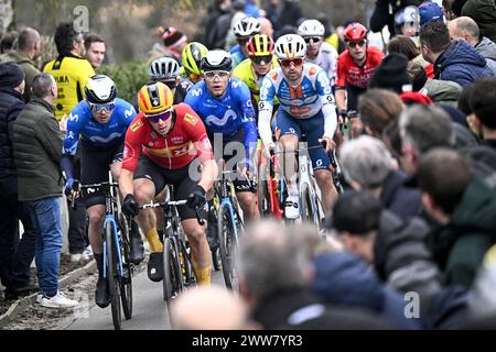 Harelbeke, Belgien. März 2024. Die abtrünnige Gruppe, die während des eintägigen Radrennens „E3 Saxo Bank Classic“, 207 km von und nach Harelbeke, am Freitag, den 22. März 2024, gezeigt wurde. BELGA FOTO JASPER JACOBS Credit: Belga News Agency/Alamy Live News Stockfoto