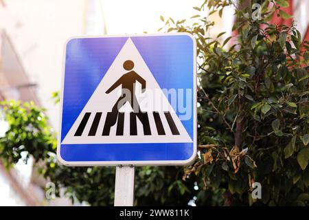 Blaues weißes Fußgängerschild auf der Straße vor natürlicher Baumkulisse. Verkehrsschild für sicheres Überqueren der Fahrbahn. Ort des Übergangs. Europäisches Standardschild auf Metallpfosten zeigt Zebra an. Stockfoto