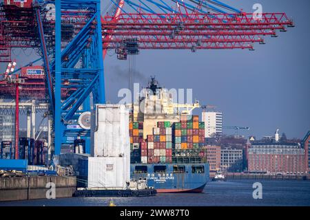 HHLA Container-Terminal Tollerort, Containerschiff Hyundai Singapore beim Be- und Entladen, Hamburg, Deutschland Stockfoto