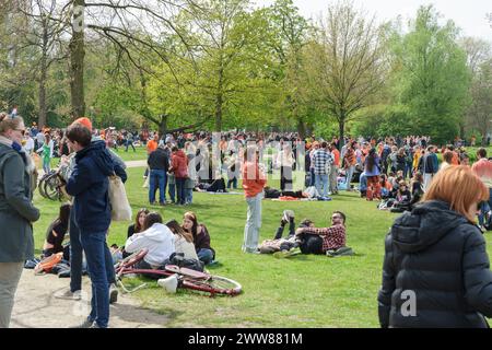 Die Leute sitzen auf Gras in einem Park, viele in Orange, an einem besonderen Tag. Es ist King's Day, ein Tag für Spaß, Flohmärkte und Orange in den Niederlanden - das Neth Stockfoto