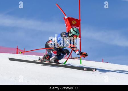 Saalbach Hinterglemm, Österreich. März 2024. SAALBACH-HINTERGLEMM, ÖSTERREICH - 22. MÄRZ: Jared Goldberg aus den Vereinigten Staaten tritt am 22. März 2024 beim Audi FIS Alpine Ski World Cup Finale in Saalbach-Hinterglemm, Österreich an.240322 SEPA 24 042 - 20240322 PD5114 Credit: APA-defacto Datenbank und Contentmanagement GmbH/Alamy Live News Stockfoto