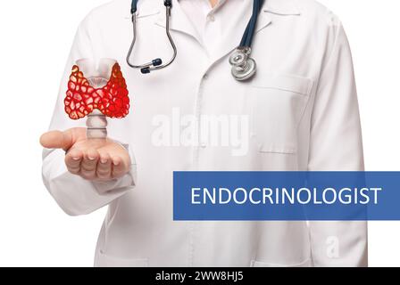 Endokrinologe mit Schilddrüsenabbildung auf weißem Hintergrund, Nahaufnahme Stockfoto