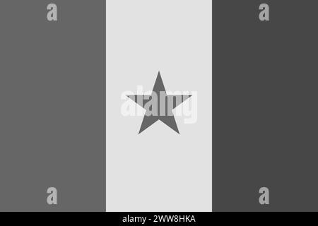 Senegal-Flagge – Schwarzweiß-Vektor-Illustration in Graustufen. Flagge in Schwarz-weiß Stock Vektor