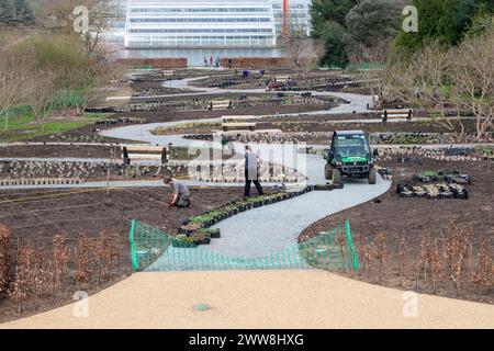 Vorbereitung und Bepflanzung der Glasshouse Landscape Borders im RHS Wisley Gardens. Wisley, Surrey, England Stockfoto