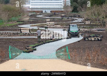 Vorbereitung und Bepflanzung der Glasshouse Landscape Borders im RHS Wisley Gardens. Wisley, Surrey, England Stockfoto