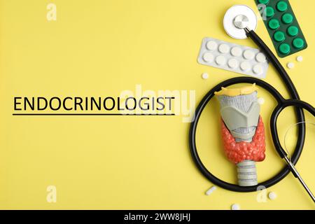 Endokrinologe. Modell von Schilddrüse, Stethoskop und Pillen auf gelbem Hintergrund, Flachlage Stockfoto