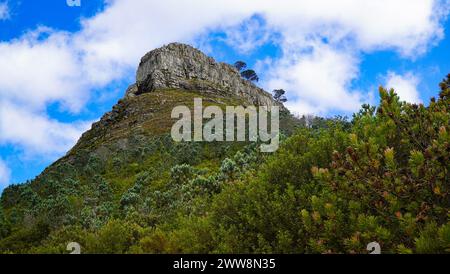 Fesselnder Blick auf den Lion's Head Mountain in Kapstadt, umgeben von einheimischen Fynbos unter einem wolkengesprenkelten Himmel Stockfoto