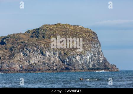 Craigleith ist eine kleine Insel im Firth of Forth direkt vor dem Land von North Berwick. Stockfoto