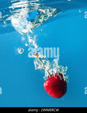 Reife Kirschen fallen ins Wasser und verursachen Spritzer und Luftblasen Stockfoto