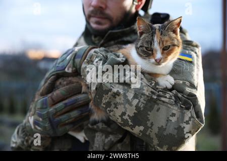 Ukrainischer Soldat mit streunender Katze draußen, Nahaufnahme Stockfoto