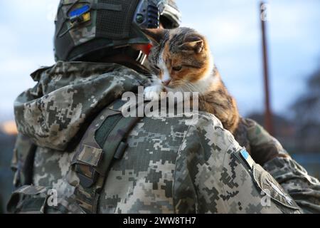 Kleine streunende Katze draußen auf der Schulter des ukrainischen Soldaten, Nahaufnahme Stockfoto