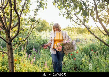 Eine ältere lächelnde Frau sammelt Wildblumen in einem Korb. Eine ältere positive Rentnerin in lässiger Kleidung sammelt Heilkräuter. Ein Beau Stockfoto