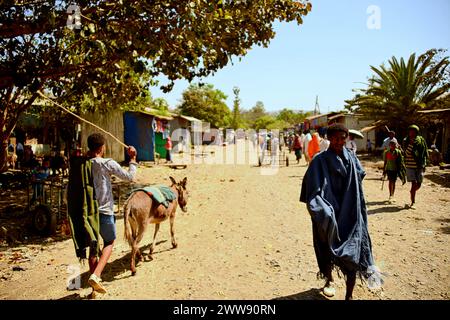 Äthiopien: Erreichen Sie die Blauen Nil-Wasserfälle im Dorf Tis Abey, etwa 30 km von der Stadt Bahir dar und dem Tana-See entfernt. Stockfoto